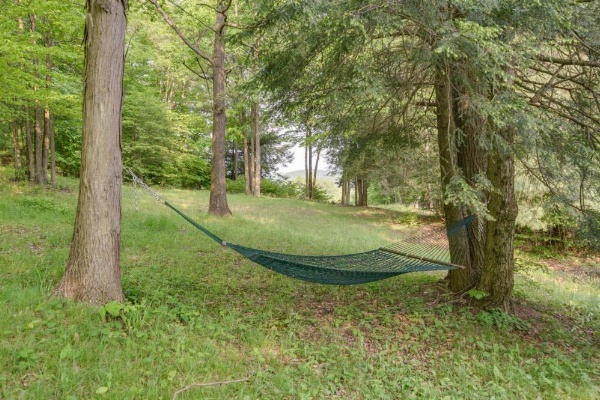 Great Valley Mtn House on 30 Acres with Pond and Grill image 18