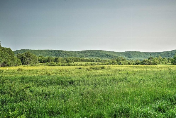 Great Valley Mtn House on 30 Acres with Pond and Grill image 22